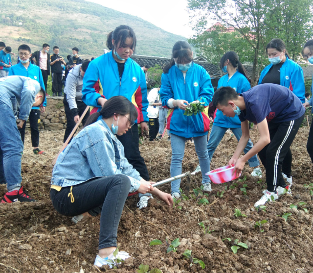 劳动教育依然是大学生成长路上不可或缺的养分